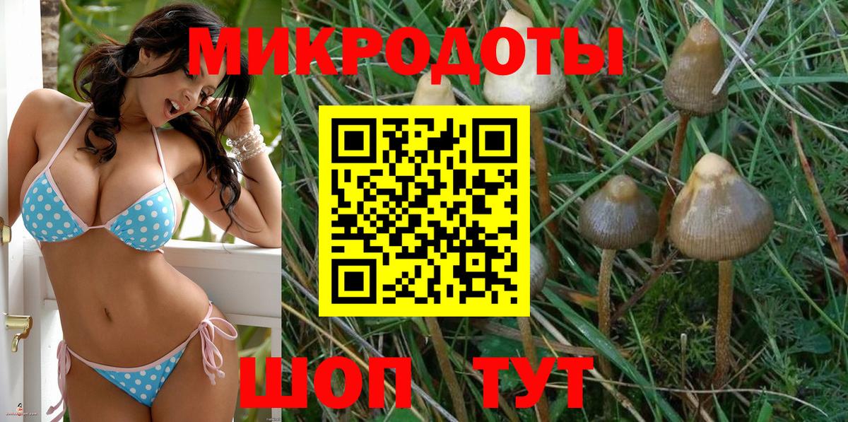 Галлюциногенные грибы прущие грибы Губкинский