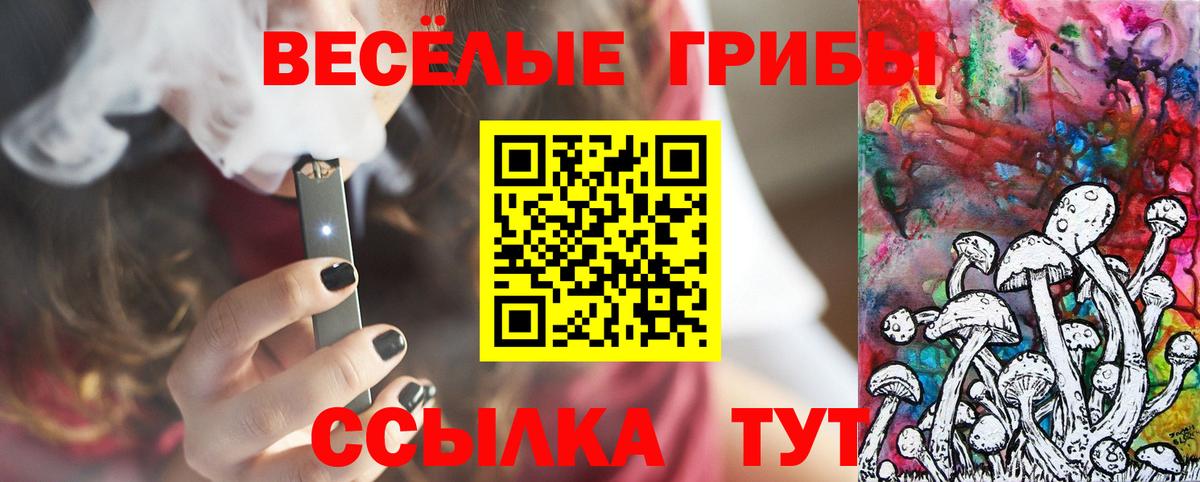 Псилоцибиновые грибы мухоморы  Псилоцибиновые грибы прущие грибы  как найти   Вход с VPN  Губкинский 